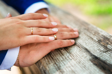 Fototapeta premium hands of the bride and groom