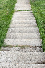 Stone steps going down on the green grass.