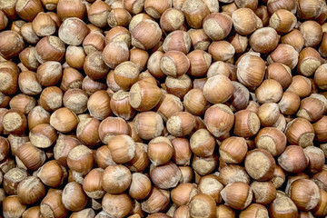 Lot of hazelnuts in shell texture background