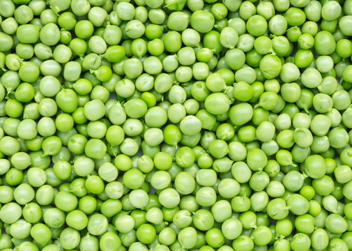 Green peas background. Fresh raw peas.