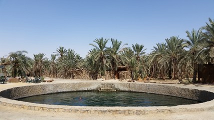 Cleopatra's Spring at Siwa Oasis, Egypt, Libyan Desert