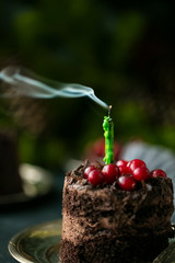 chocolate cake with fresh cranberries and a green extinguished candle. copy space