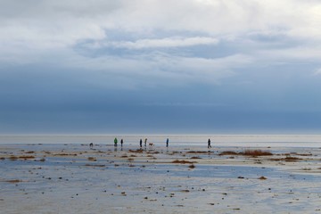 Fototapeta na wymiar Spaziergänger im Wattenmeer, Fanö, Dänemark