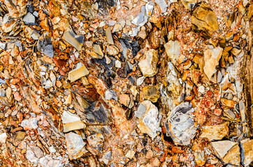 rocky texture at Sierra del Rosario, Pinar del Rio, Cuba