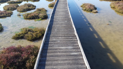 Long narrow wooden bridge over a lake with plants on the way endlessly