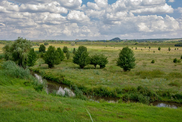 Fototapeta na wymiar View of the river among meadows in Donbass