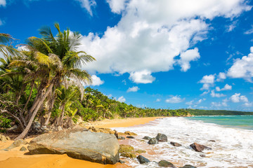 Exotic carribean shore of Puerto Rico Flamenco beach