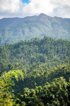 El Yunque National Forest Puerto Rico scenic view