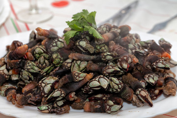 A dish with lots of freshly cooked barnacles
