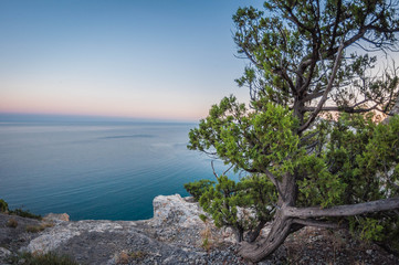 Fototapeta na wymiar beautiful landscape high view from the rocks to the coast and juniper bushes