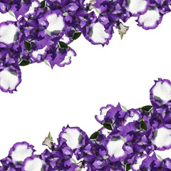 Beautiful floral background of irises 