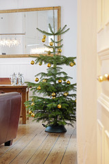 Weihnachtsbaum im Esszimmer