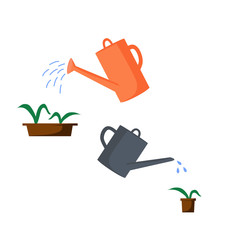 Old watering cans of different colors and shapes. Watering pots with plants from watering cans.