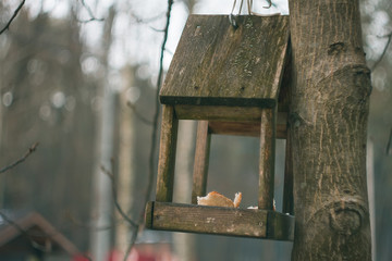 Feeding trough and house are for birds