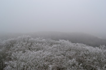 Obraz na płótnie Canvas Breath of winter in Karlovy vary