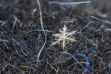Snowflake Natural Macro Extreme