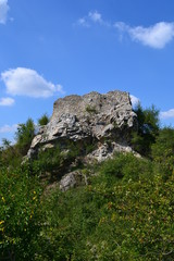 Castle over the Danube