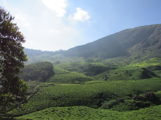 landscape in the mountains