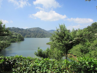 lake in deep forest