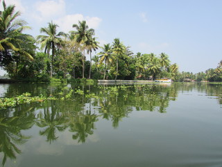 Plakat lake in the park