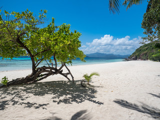 Amazing view of tropical beach on the Banana island, Busuanga, Palawan, Philippines. Beautiful tropical island with sand beach, palm trees. November, 2018