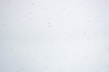 Snow surface close up macro, winter background, shallow depth of field