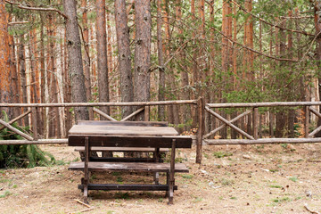 Camping in summer. Wooden bench in the forest. Picnic in the forest. Convenience among nature. Table and benches surrounded by wild forest. Furniture in the pine forest