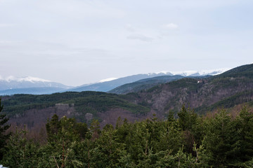 Fototapeta premium Aerial view of green pine trees in high mountains landscape in Pirin, Bulgaria