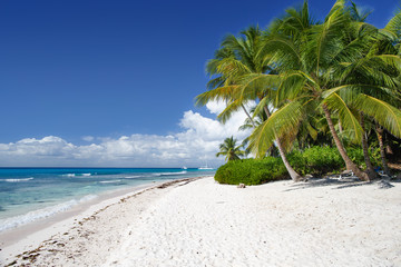 View from the beach of the island of Saona on the Caribbean Sea.