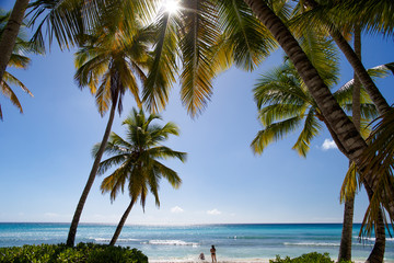 Beach and palm trees of the tropical island of Saona