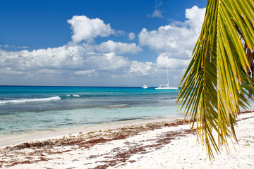 Fototapeta na wymiar View from the beach of the island of Saona on the Caribbean Sea.