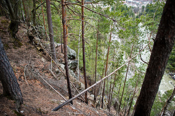 Rocky cliff in green forest at Carpathian mountains.