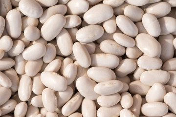 Group of natural white beans
