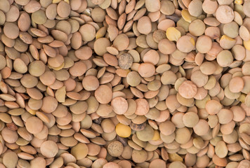 Goup of natural lentils
