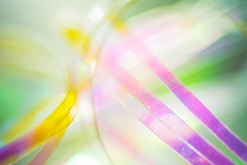 miracle  background closeup