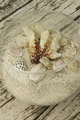 Fototapeta na wymiar Verre décoratif, coquillages sur du sable 