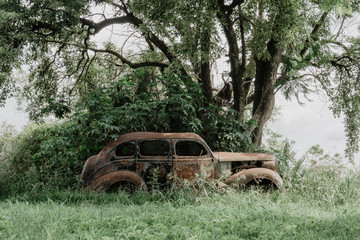 old car, burned, rusted, abandoned in the forest