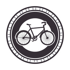 seal with racing bicycle