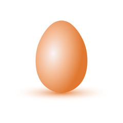 Realistic chicken egg. Vector image. Close-up. Isolated object on white background. Isolate.