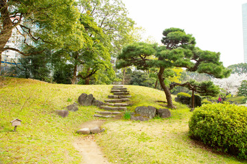 旧芝離宮恩賜庭園　根府川山