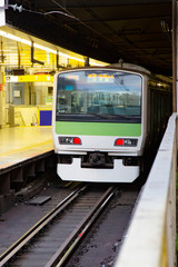 Fototapeta premium 渋谷駅 山手線