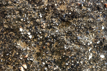 Sea cliff texture. Nautical rock background.