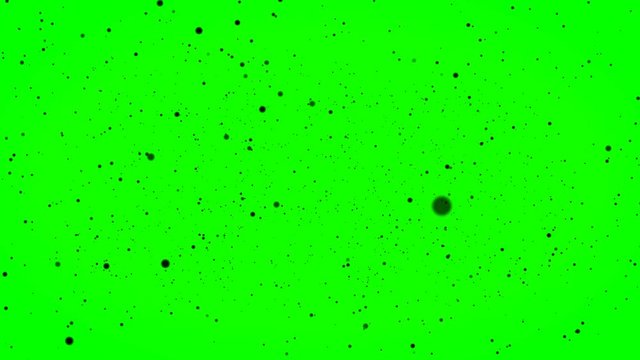 Little black particles of dust, dots or micro parts flying and moving on the green screen background. Alpha channel. Chroma key.