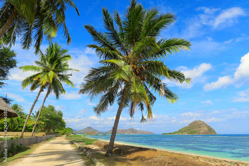 Wall mural Sandy road along the ocean coast with turquoise water, rocks and green palm trees, Sumbawa, Indonesia