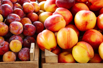 Fototapeta na wymiar Ripe plums and nectarines in wooden boxes on the market counter. Close-up.