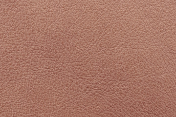 Fototapeta premium Sample genuine leather brown colour. Material of animal origin. Skin texture Close-up.