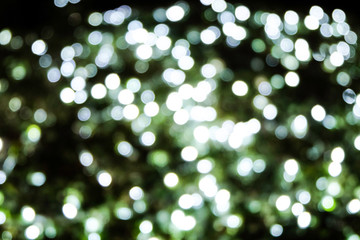 Beautiful bokeh light background, White and green bokeh light decorated in party, neon light shine on green bush of tree in the night, background for Christmas and new year celebration