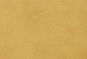 Sample texture of natural leather light yellow colour. Material of animal origin. Close-up.
