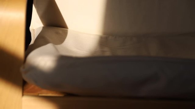 Sunlight shining on the sofa