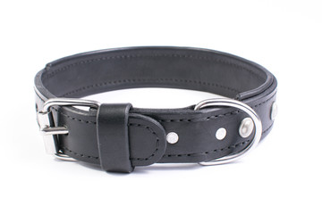 Leather dog collar